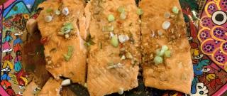 Chile Garlic BBQ Salmon Photo