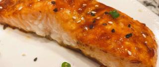 Gochujang Glazed Salmon Photo