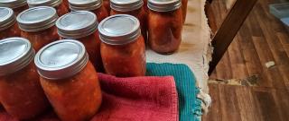 The Best Canning Salsa Photo
