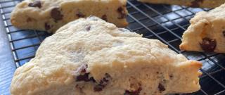 English Royalty Chocolate Chip Scones Photo