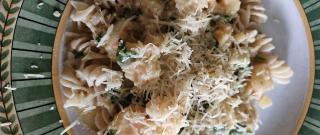 Creamy Shrimp Scampi Photo