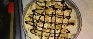 Peanut Butter Pie IX Photo