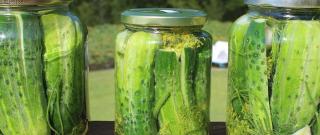 Sous Vide Dill Pickles Photo