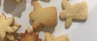 Sugar Cookie Cutouts Photo