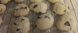 Chocolate Chip Cookies for Special Diets Photo