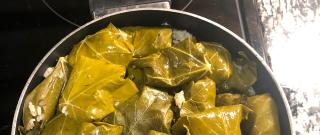 My Own Famous Stuffed Grape Leaves Photo