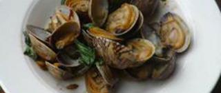 Hoy Lai Pad Nam Prik Pow (Clams with Chili Paste and Basil) Photo