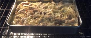 Turkey Tetrazzini Photo