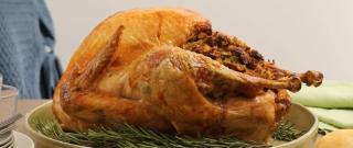 Easy Beginner's Turkey with Stuffing Photo