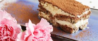 Classic Italian Tiramisu Photo