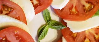 Insalata Caprese Photo