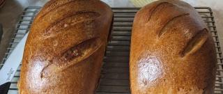 Honey Wheat Bread II Photo