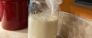 Sourdough Starter Photo