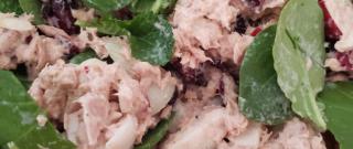 Amazingly Good and Healthy Tuna Salad Photo