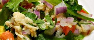 Easy White Albacore Ceviche Photo