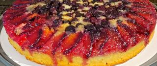 Plum Blueberry Upside-Down Cake Photo