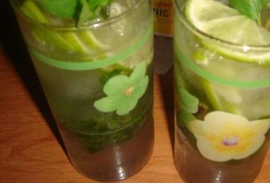 Homemade “Mojito” Photo 1