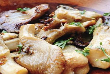 Sauteed Oyster Mushrooms in Garlic Butter Photo 1