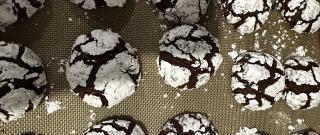 Chocolate Crinkle Cookies Photo