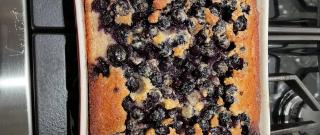 Easy Blueberry Cobbler Photo