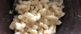 Simple Macaroni and Cheese Photo