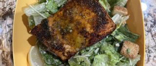 Blackened Salmon Fillets Photo