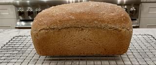 Easy 100% Whole Wheat Bread Photo