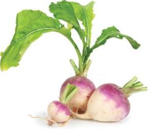 Maple-Mustard Roasted Turnips Photo