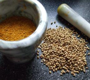 Mild Curry Powder Photo