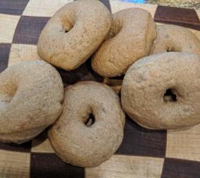 Whole Wheat Bagels Photo