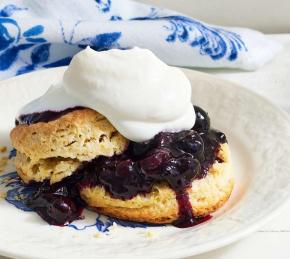 Blueberry Shortcake Photo