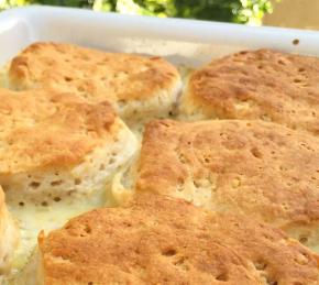 Campfire Chicken Pot Pie Photo