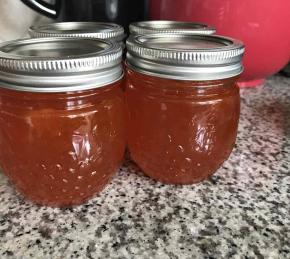 Apple Jelly Photo