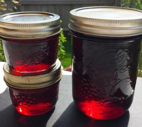 Crab Apple Jelly Photo