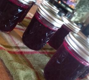 Prickly Pear Jelly Photo