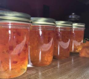 Habanero Pepper Jelly Photo