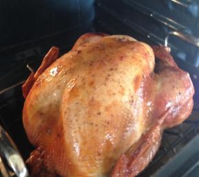 Incredible Turkey Brine Photo