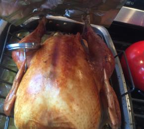 Brining and Cooking the Perfect Turkey with Delicious Gravy Photo