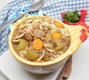 Instant Pot Lentil Chicken Noodle Soup Photo