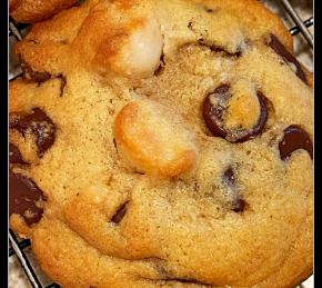 Macadamia Nut Chocolate Chip Cookies Photo