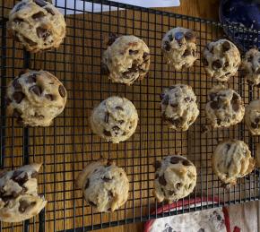 Yogurt Chocolate Chip Cookies Photo