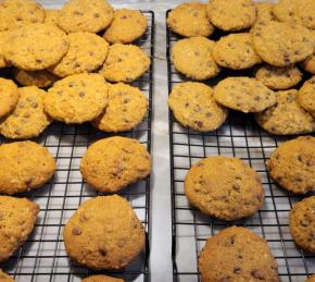 Pumpkin Oatmeal Chocolate Chip Cookies Photo