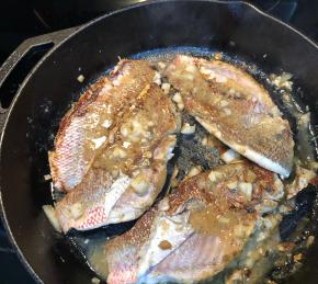Pan-Seared Red Snapper Photo