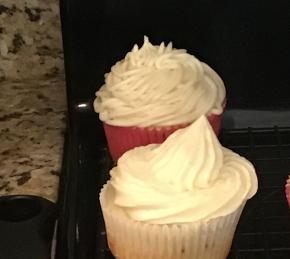 Vanilla Cupcakes from Scratch Photo