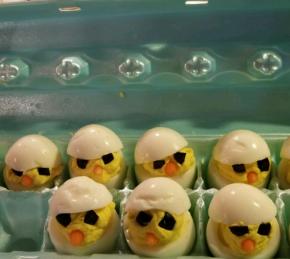 Easter Chick Deviled Eggs Photo