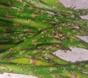 Spicy Cajun Asparagus Photo