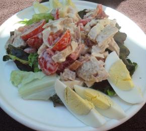 Warm Chicken, Bacon, and Egg Salad with Mayonnaise Dressing Photo