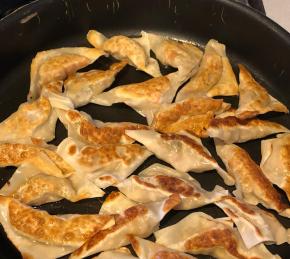 Gyoza Photo