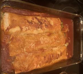 Spinach and Chicken Enchiladas Photo