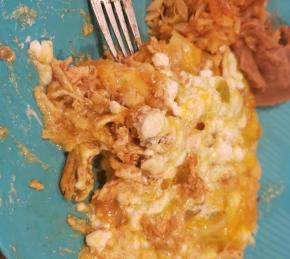 Cottage Cheese Chicken Enchiladas Photo